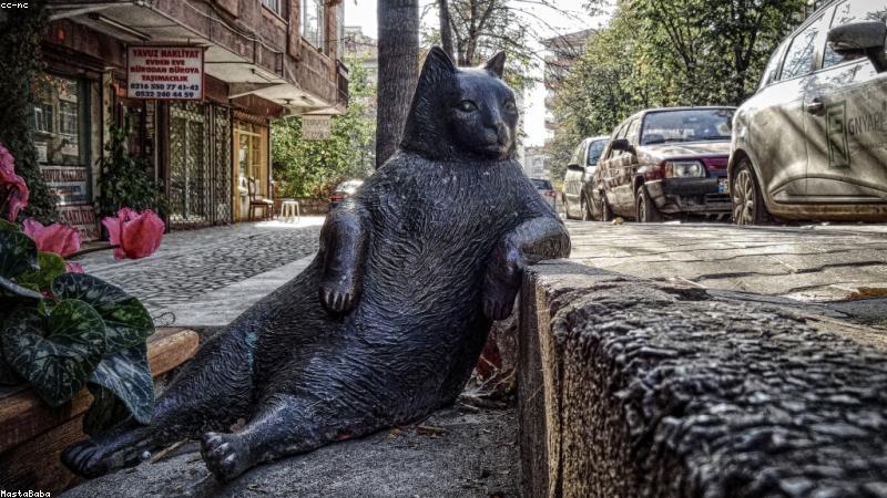 探秘鲜花世界：常见品种与独特魅力全解析