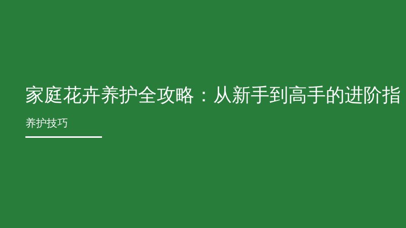 家庭花卉养护全攻略：从新手到高手的进阶指南