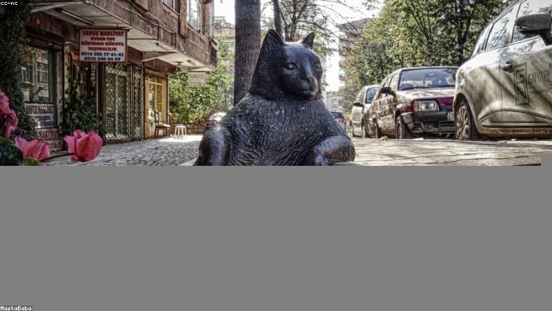 解码花语花意：跨越时空的情感密码与文化密码