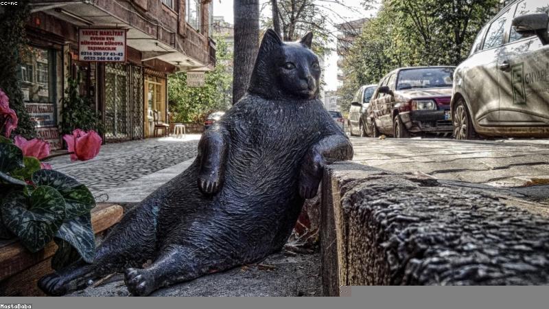 节日用花全解析：从文化到搭配，解锁节日送花新姿势