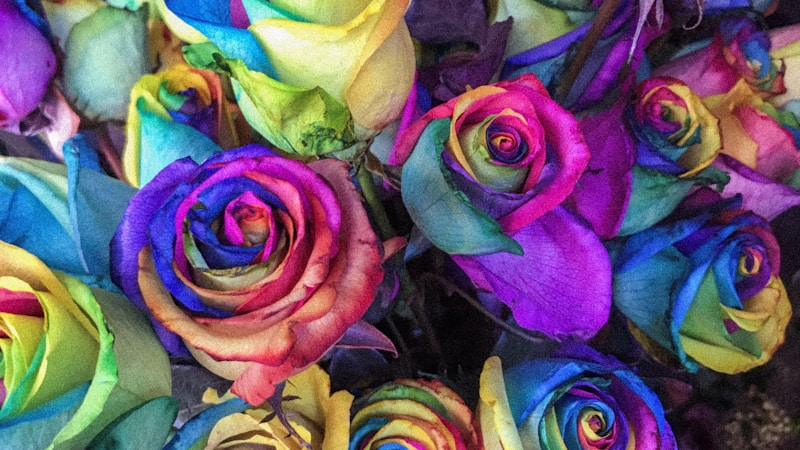 科学养护指南：让你的花卉健康生长的五大关键技巧