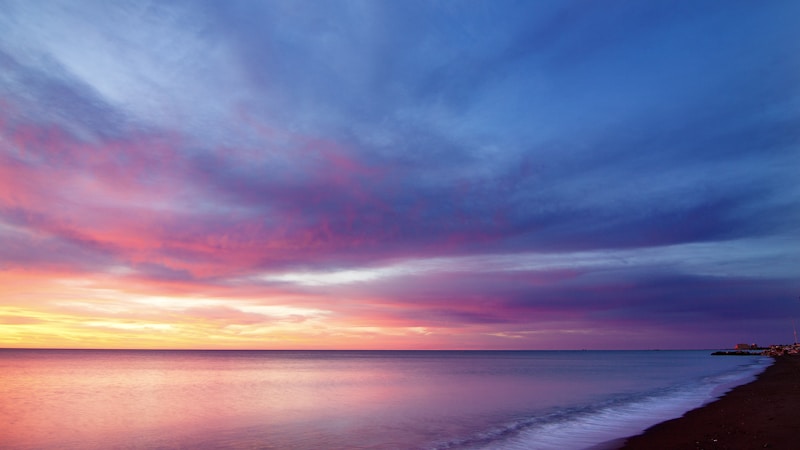 科学养护指南：从光照到病虫害，解锁花卉健康生长密码