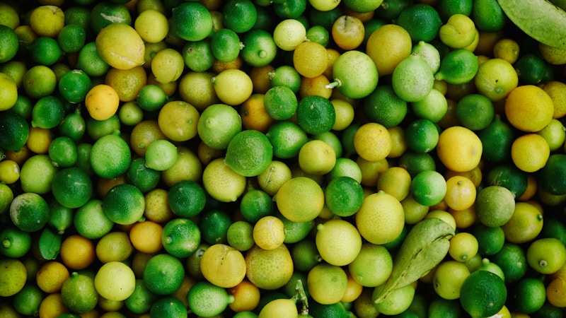 探秘鲜花世界：常见品种的分类与特性全解析