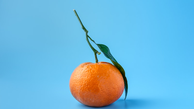 科学养护指南：让你的花卉健康生长的五大核心技巧
