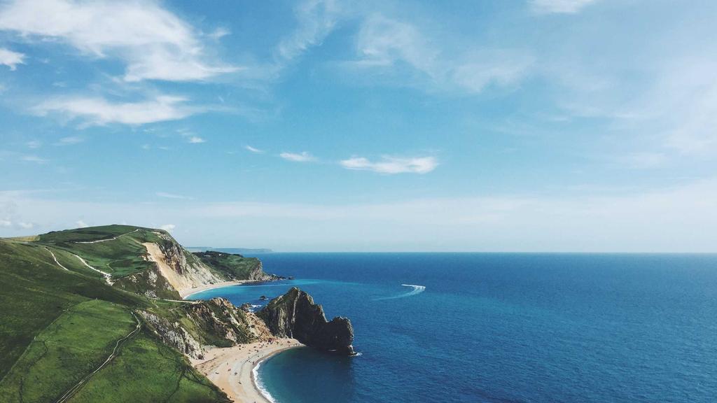 从新手到高手：花艺搭配中的鲜花养护全攻略