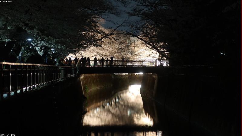 解锁花艺搭配密码：从色彩到形态的创意美学指南